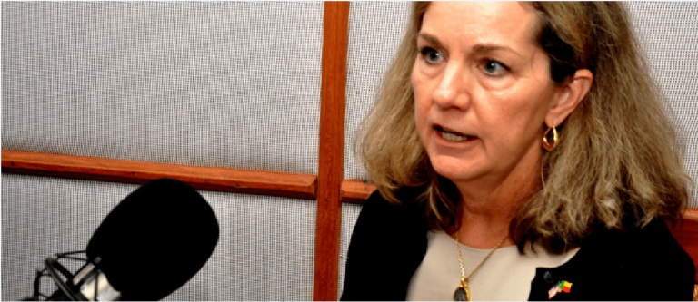 Bénin: Whitney Y. Baird évoque la politique africaine des Etats-unis (vidéo)