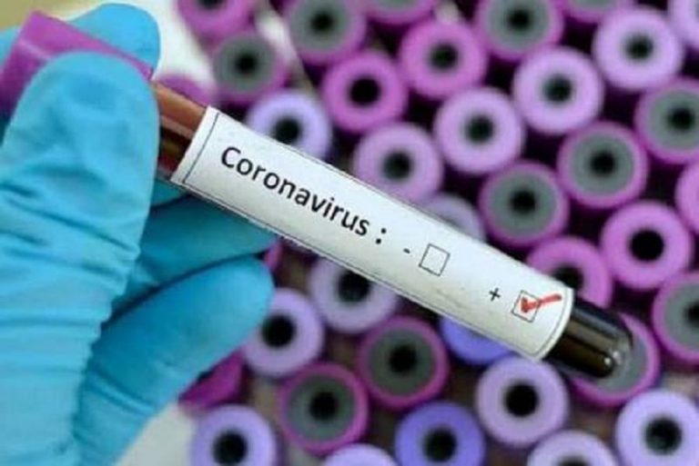 Coronavirus : des experts africains en conclave à l'institut Pasteur de Dakar