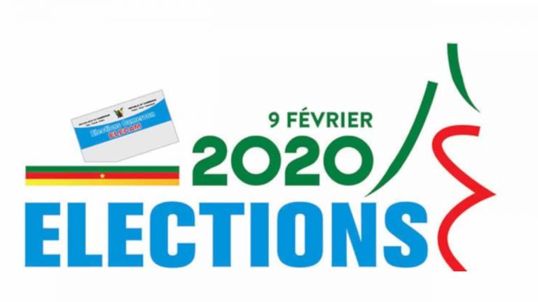 Législatives au Cameroun: le conseil constitutionnel annule le scrutin dans 11 circonscriptions