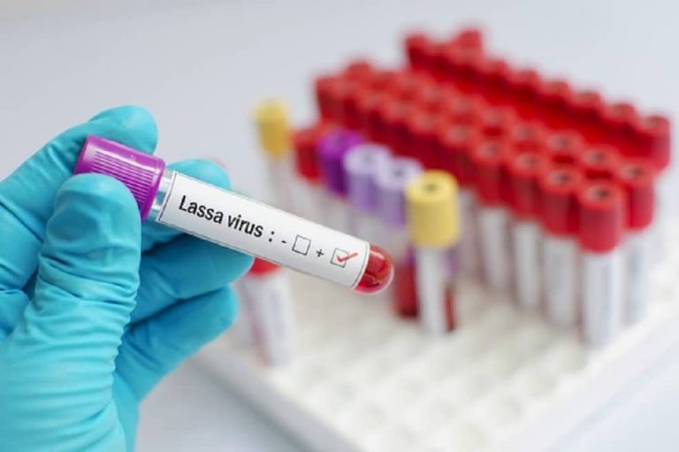 Le nombre de victimes de la fièvre de Lassa augmente considérablement
