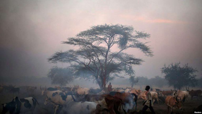 Soudan: une trentaine de morts dans une attaque dans la région d&rsquo;Abyei