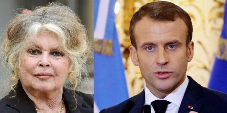 « Depuis votre élection, tout n’est que sang et violence ! », Brigitte Bardot « réprimande » Emmanuel Macron