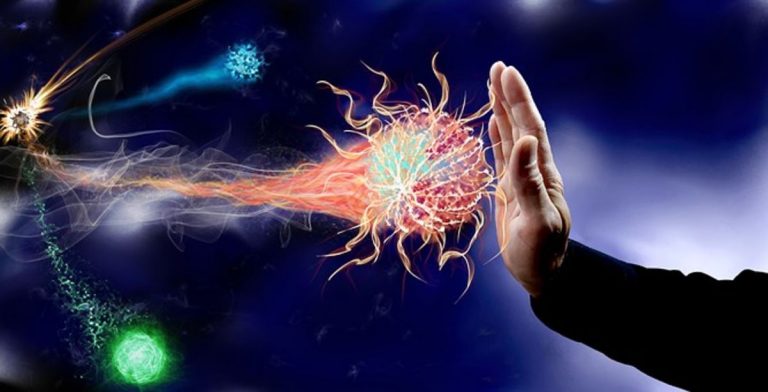 Coronavirus : des anticorps «extrêmement efficaces» découverts en Chine