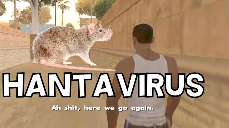 Chine: un homme est décédé des suites de l’hantavirus