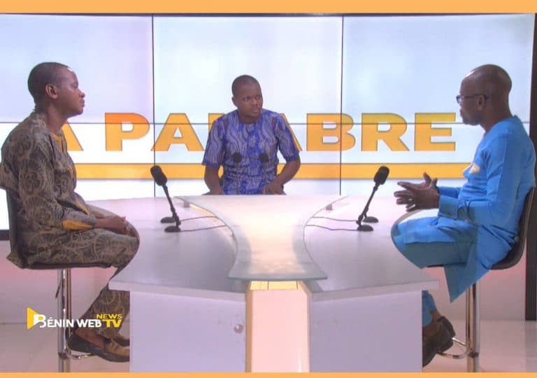 Bénin: une loi en faveur des femmes au sein des conseils communaux souhaitée (vidéo)