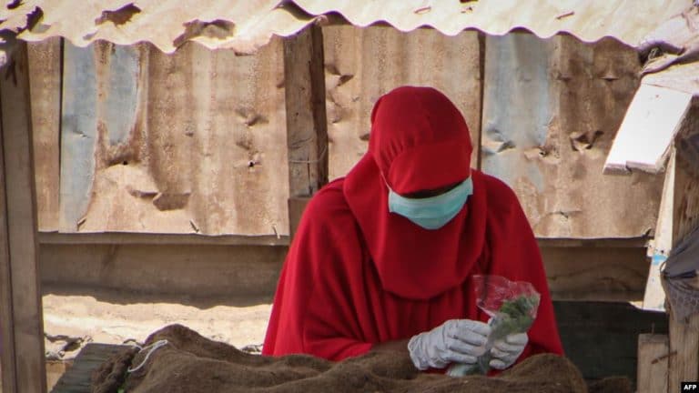 Coronavirus à Djibouti: le gouvernement lance le dépistage porte-à-porte