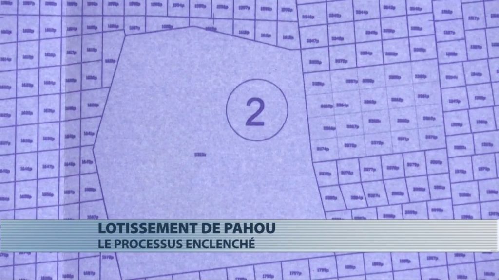 Plan de lotissement à Pahou