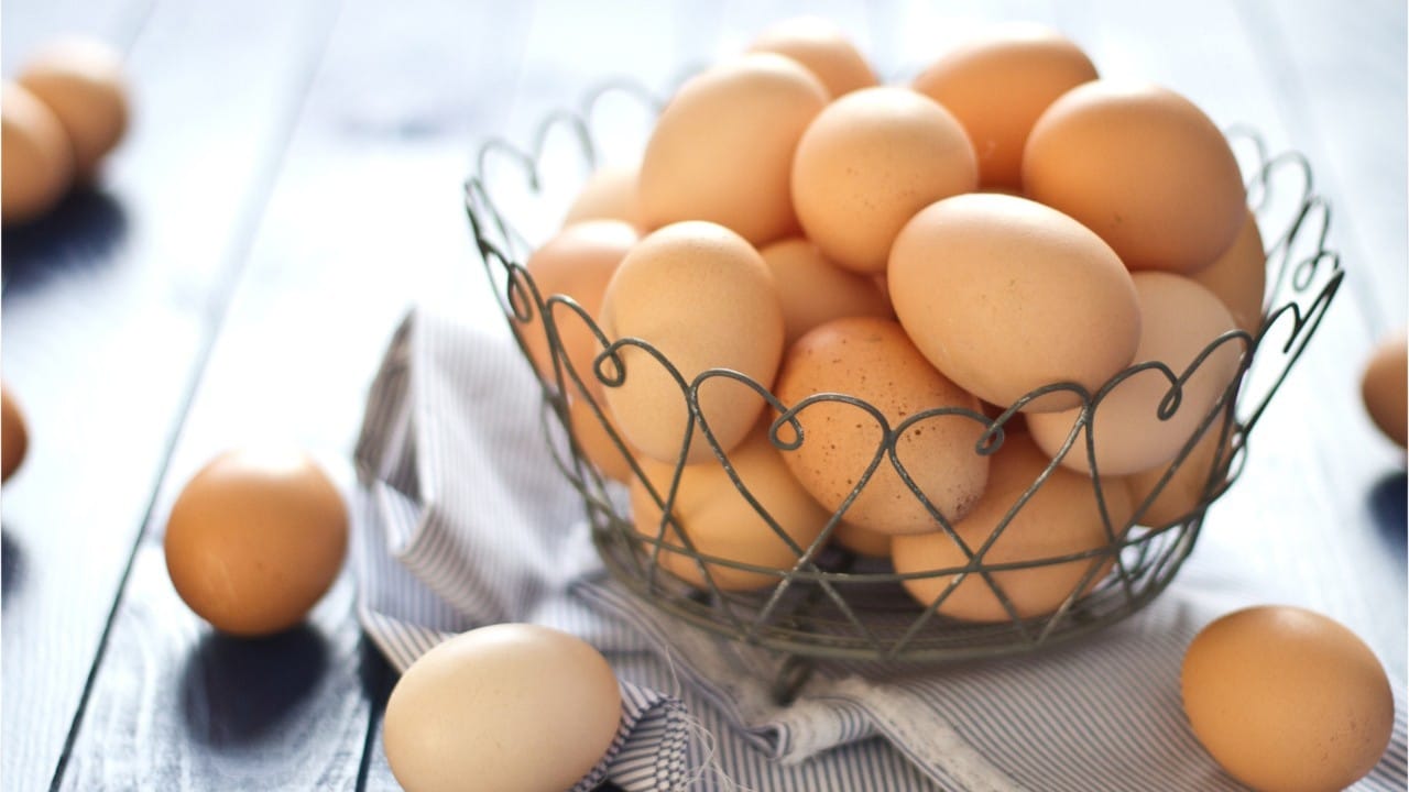 Des oeufs de consommation