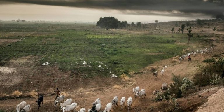Nigéria – Kaduna: plus de 20 morts dans une attaque des peuls armés