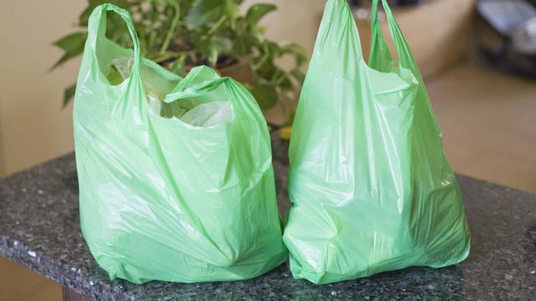Utilisation des sachets biodégradables au Bénin: un projet aux calendes grecques ?