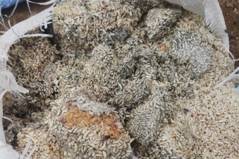 Bénin: interpellation d’un réseau d’écoulement de riz avarié à Pahou
