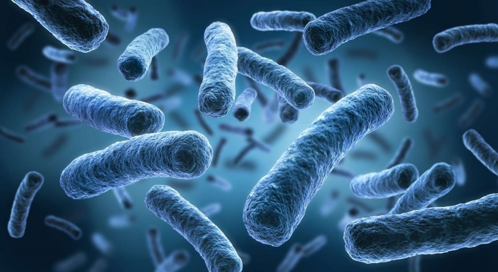 En Chine, une bactérie s’échappe d’un laboratoire et contamine plusieurs milliers de personnes