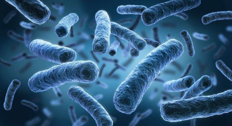 Chine: une bactérie s&rsquo;échappe d’un laboratoire, près de 3.000 personnes contaminées