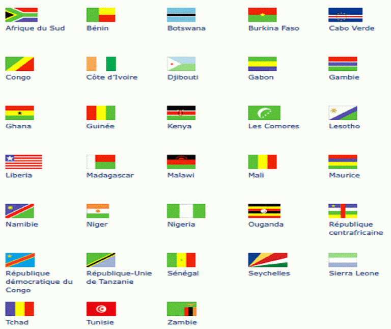 CPI: le Bénin, la Côte d’Ivoire, le Togo et 30 autres pays africains sous la menace de sanctions américaines