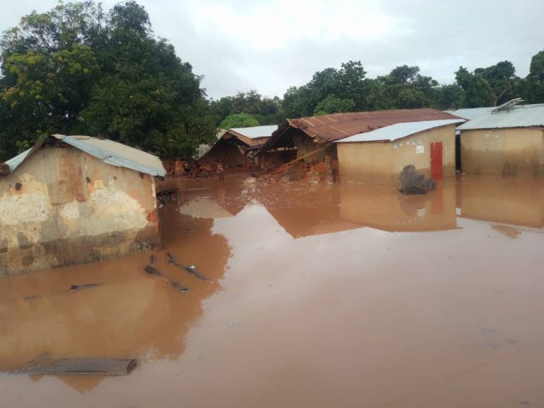 Bénin – Montée des eaux du fleuve Niger: un lourd bilan humain et matériel