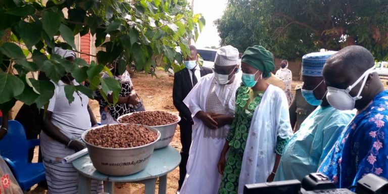 Bénin – Commercialisation des amandes de karité: la campagne 2020-2021 lancée