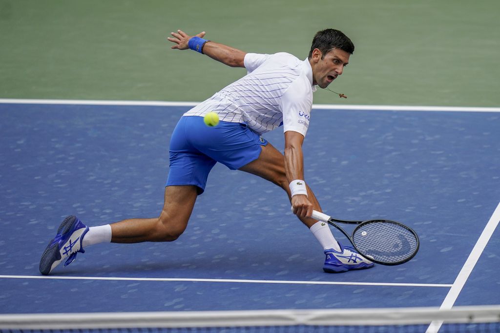 Novak Djokovic @ Wikipédia