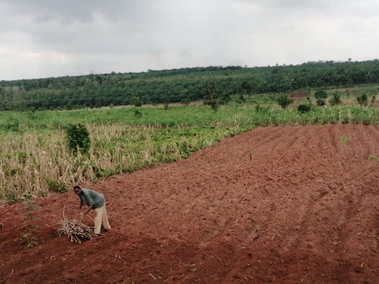 Indice du capital humain: le Bénin 147è sur 174 pays