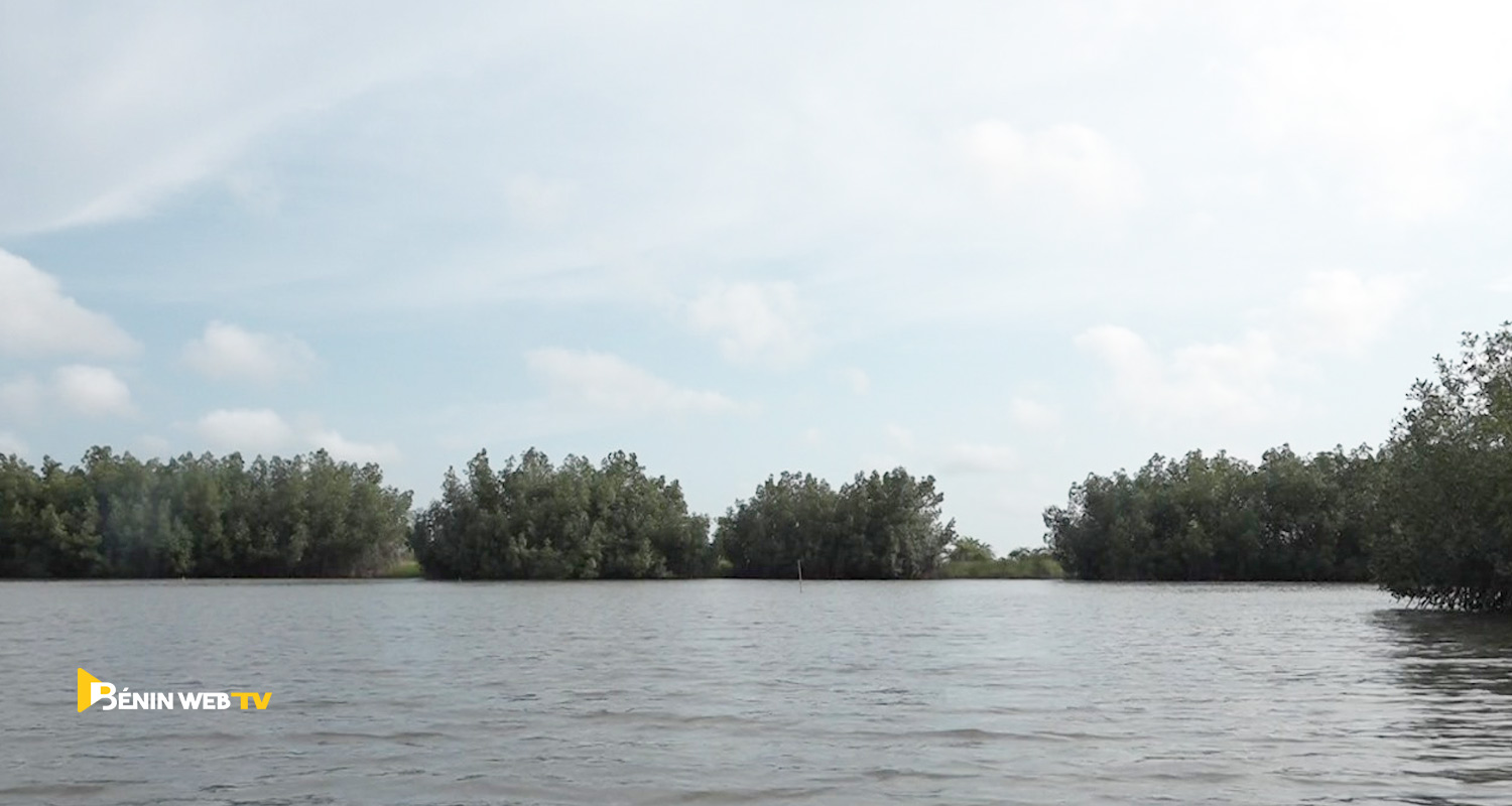 Dérivé du lac Ahémé à Gogotinkpon