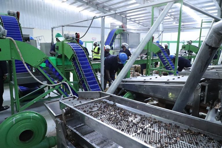 Côte d&rsquo;Ivoire: inauguration  d&rsquo;un centre d’innovations et de technologies de l’anacarde