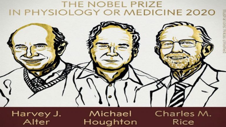 Le prix Nobel de médecine 2020: trois scientifiques sacrés pour la découverte du virus de l&rsquo;hépatite C