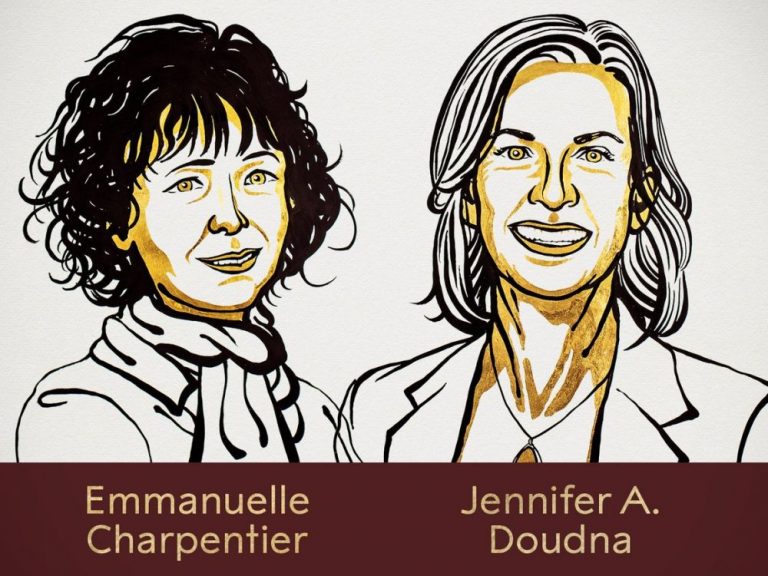 Prix Nobel de Chimie 2020: Emmanuelle Charpentier et Jennifer Daoudna récompensées