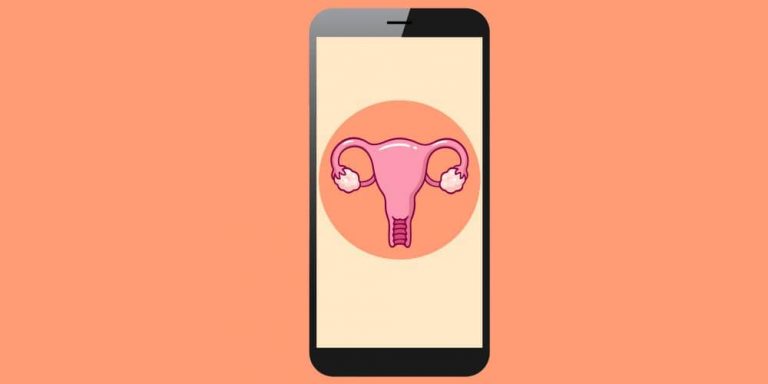Sante et Tech : le business florissant des applis de suivi menstruel