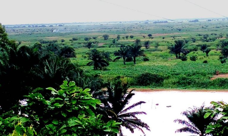 Bénin: la réserve de biosphère de la Basse vallée de l&rsquo;Ouémé inscrite à la réserve de l&rsquo;UNESCO