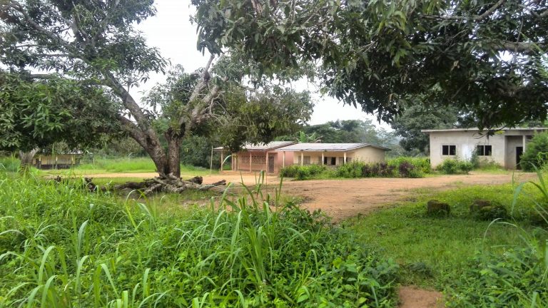 L’école, désormais un lieu d’insécurité au Cameroun?