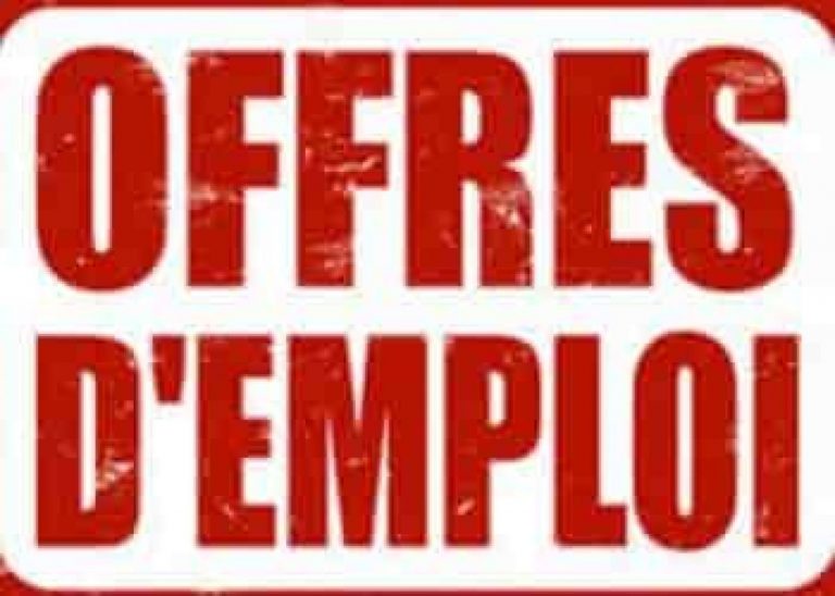 Bénin – 4 ans de Gouvernance sous Talon: 807427 emplois créés, le chiffre fait polémique…