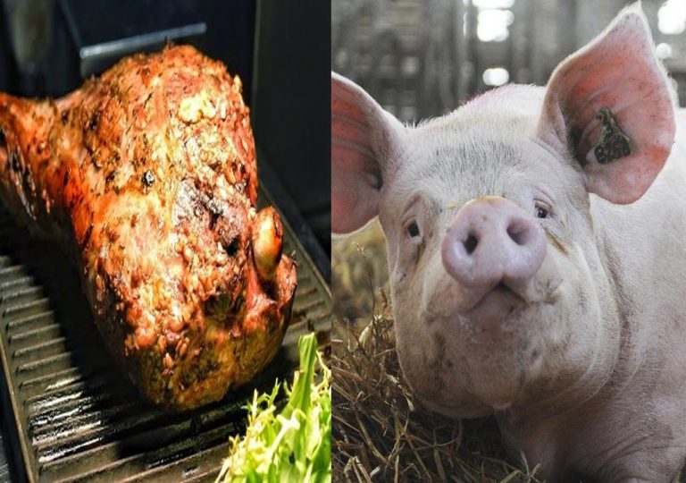 Santé: pourquoi manger la viande de porc ?