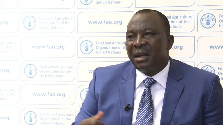 Côte d&rsquo;Ivoire: le RHDP dénonce et condamne dans la forme comme dans le fond la déclaration Bédié