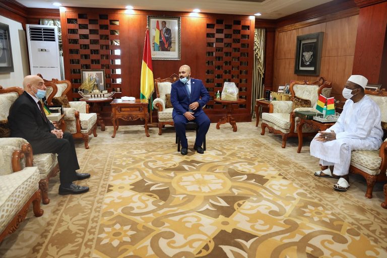 Guinée: Alpha Condé discute de la Libye avec Aguila Saleh