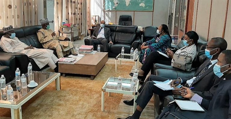 Présidentielle et législatives 2020 au Niger: la CEDEAO déploie ses observateurs