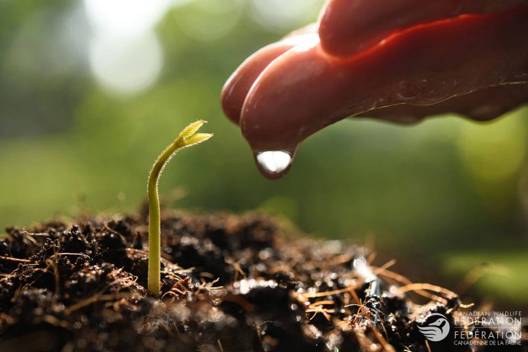 Bénin – JMS 2020: LH Association initie une réflexion sur la protection de la biodiversité des sols