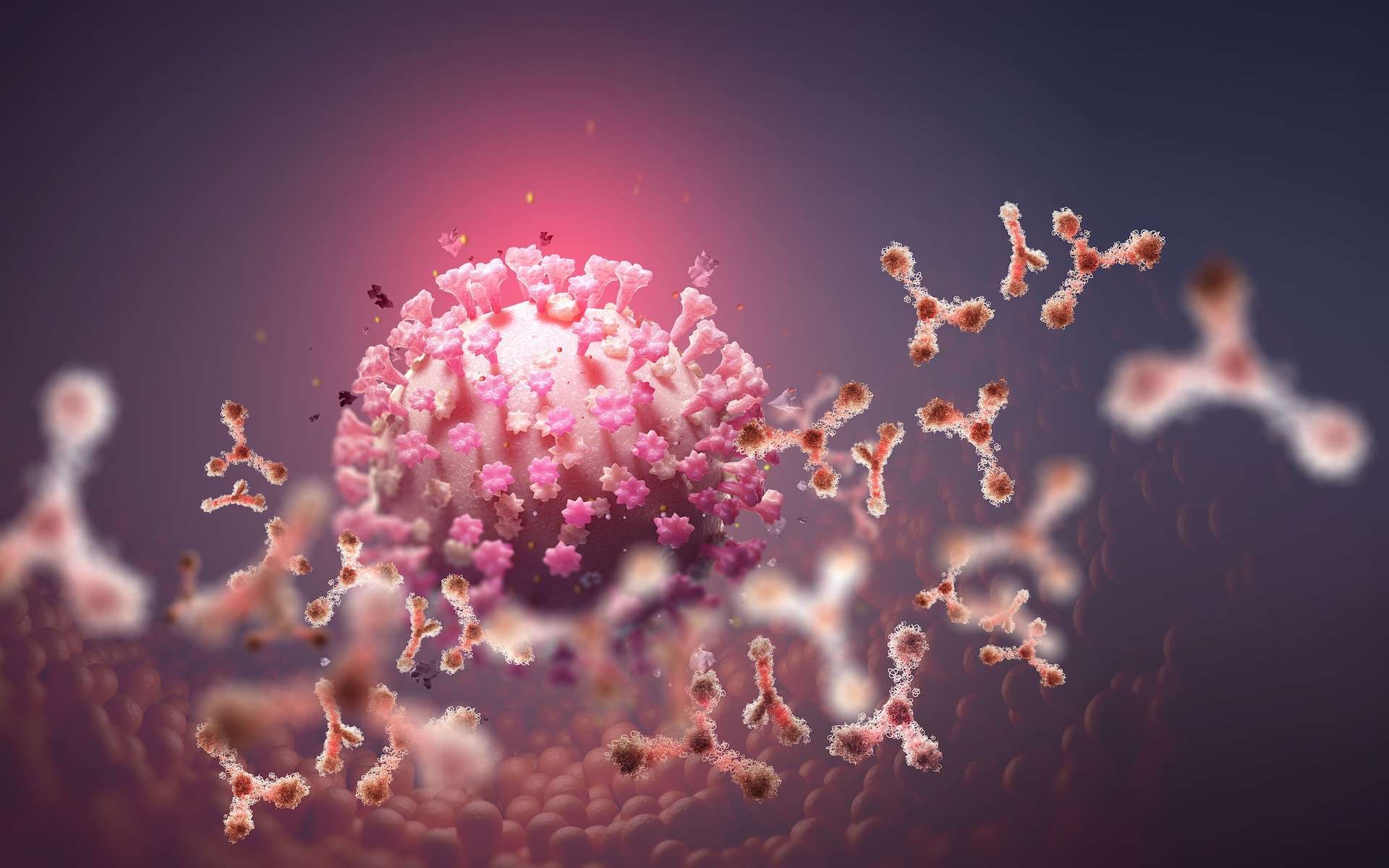 Nouveau variant, plus contagieux, du coronavirus