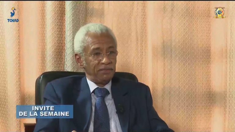 Tchad – Affaire Yaya Dillo: le ministre des affaires étrangères dénonce « une rébellion armée »