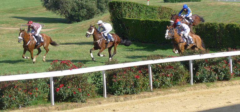 Une inquiétante épidémie de rhinopneumonie frappe le monde de l’équitation