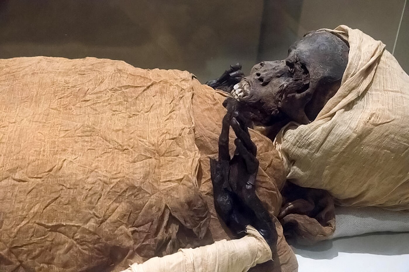 Égypte : Ramsès II et Hatchepsout, vedettes d’un défilé de momies au Caire